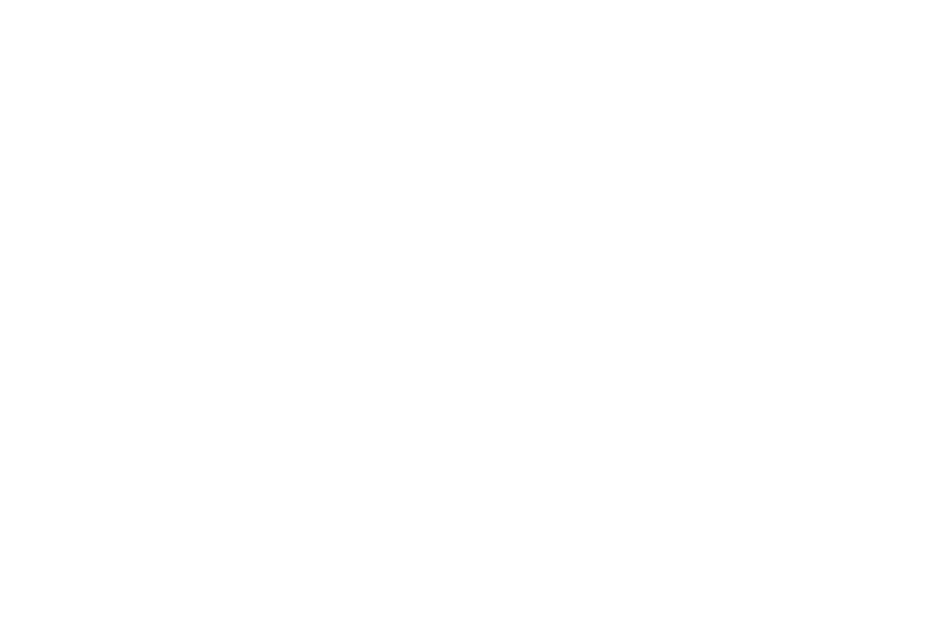 Aurea Studio